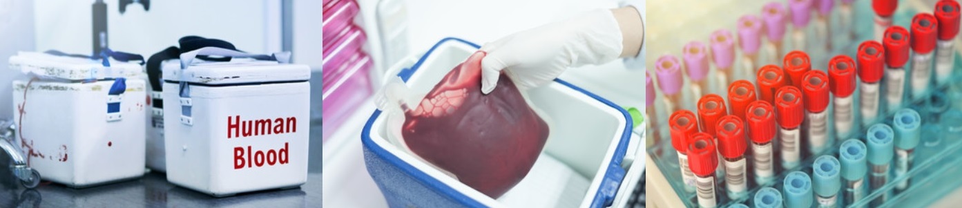 Curso Básico de Transporte de Sangue e Componentes no Âmbito da Hemoterapia